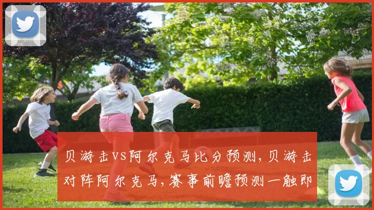 贝游击vs阿尔克马比分预测,贝游击对阵阿尔克马,赛事前瞻预测一触即发,悬念重重